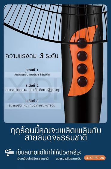 Silent Floor Fan, 3 speed rotating adjustable 16-inch 5 blade รูปที่ 3