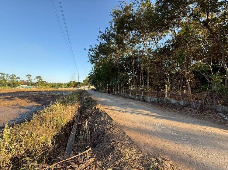  ขายที่ดินทำเลดี 15ไร่ ต.ศิลา ขอนแก่น ที่สวยเหมาะแก่การลงทุนต่างๆ รูปที่ 4