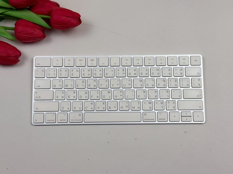 Apple Magic Keyboard2 Lightning
