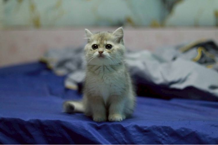 หนุ่มหน้ามนคนขี้อ้อน