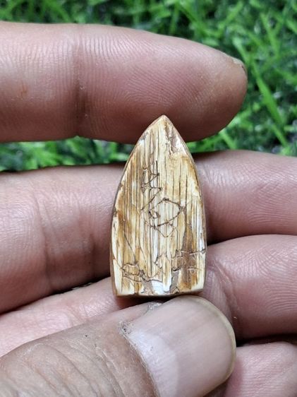 พระแกะเก่าไม่รู้ที่ ไม่ใช่เรซิ่น ไม่ทราบเนื้อ น่าจะทำจากเขา เห็นรอยกระเทาะเป็นแผ่นๆเล็กน้อย ที่ด้านหลังช่วงล่าง รูปที่ 2