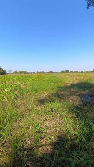 ใช่ ขายที่ดินตำบลพระพุทธอำเภอเฉลิมพระเกียรติจังหวัดนครราชสีมา
ติดถนนเพชรมาตุคลา226 

ขนาดที่ดิน: 16  รูปที่ 4