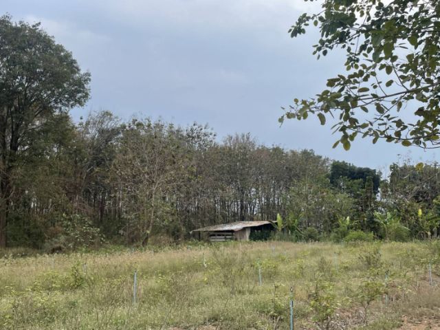 ใช่ ขายที่ดินตำบลขนงพระเขาใหญ่ปากช่องนครราชสีมา​ใกล้ สนามกอฟท์ แลนโช่ ชาญวีพื้นที่​ขนาด 4 ไร่
เอกสาร​สิทธิ์​ นส3.ก  รูปที่ 4