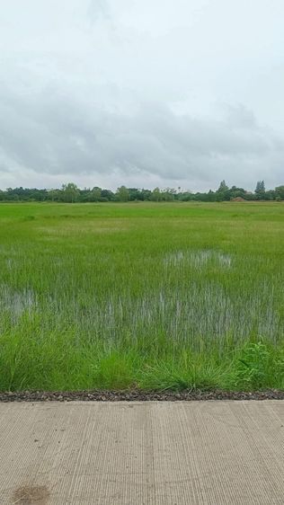 ใช่ ขายที่ดิน2แปลงตำบลหนองไข่น้ำอำเภอเมืองนครราชสีมา
 รูปที่ 4