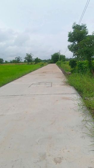 ใช่ ขายที่ดิน2แปลงตำบลหนองไข่น้ำอำเภอเมืองนครราชสีมา
 รูปที่ 2