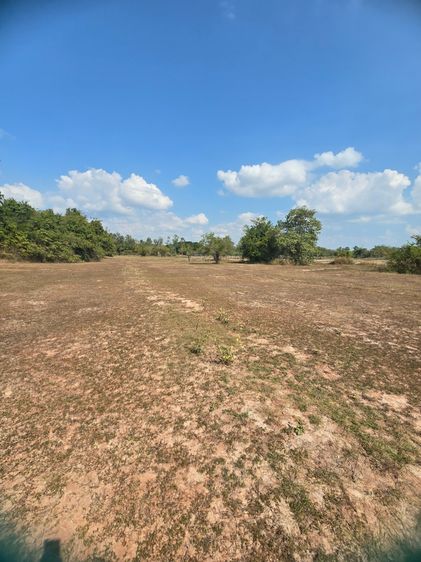 ขายที่ดินเปล่า5 ไร่ ทำไรทำสวนทำนาหรือปลูกบ้านสวน รูปที่ 2