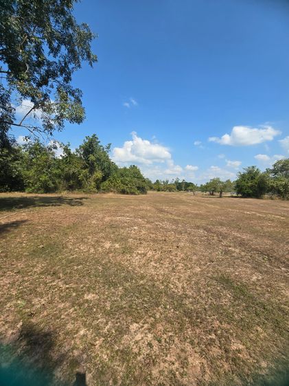 ขายที่ดินเปล่า5 ไร่ ทำไรทำสวนทำนาหรือปลูกบ้านสวน รูปที่ 3