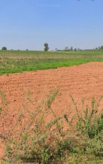 ใช่ ขายที่ดินตำบลลุงเขว้าหนองบุญมากจังหวัดนครราชสีมา
พื้นที่ 105-0-90ไร่
รูปที่ 3
