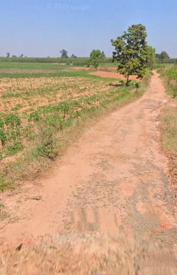 ใช่ ขายที่ดินตำบลลุงเขว้าหนองบุญมากจังหวัดนครราชสีมา
พื้นที่ 105-0-90ไร่
รูปที่ 4