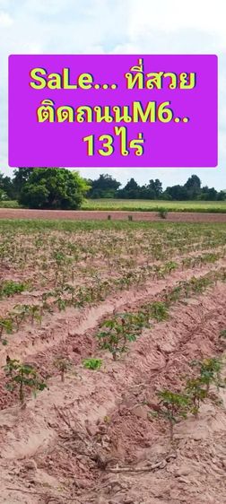 ใช่ ขายที่ดินติดถนนเลียบมอเตอร์เวย์บางปะนครราชสีมา
อำเภอเมืองนครราชสีมา
หน้าด่านเก็บเงินขามทะเลสอ 
โฉนดครุฑแดง 13ไร่ 12 ตร.ว​ไม่ต้องถม รูปที่ 2