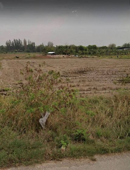 ขายที่ดินใกล้ตัวเมืองนครราชสีมาติดถนนเลียบมอเตอร์เวย์บางปะอินนครราชสีมา
 ตำบลสี่มุม อ.เมืองนครราชสีมา

ขนาดที่ดิน 4-2-55ตร.ว

 รูปที่ 3