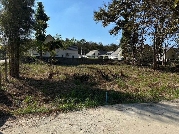 ที่ดินเชียงใหม่ รูปที่ 4