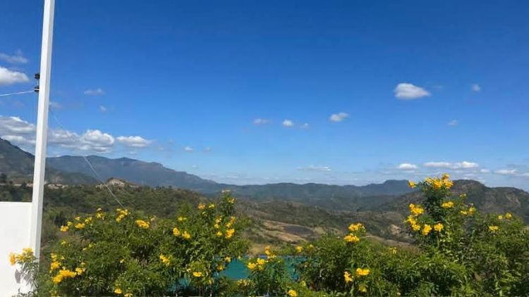 ใช่ ขายที่ดินบนเขาค้อ รูปที่ 4