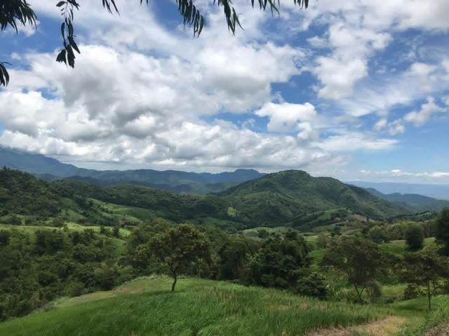 ใช่ ขายที่ดินบนเขาค้อ รูปที่ 3