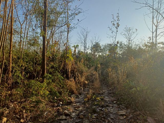 ที่ดินราคาถูกโอนฟรี