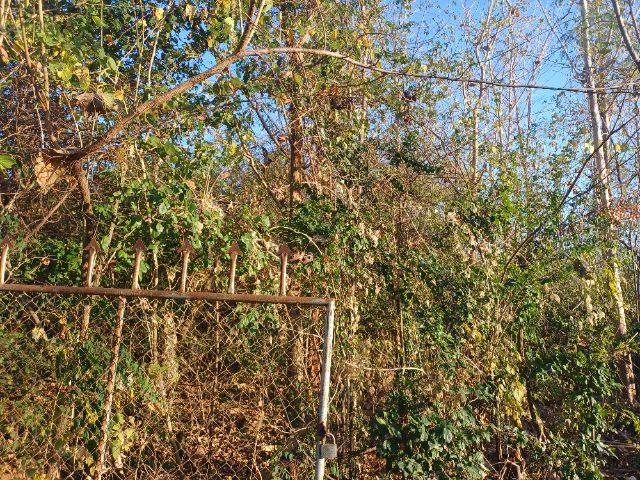 ใช่ ที่ดินราคาถูกโอนฟรี รูปที่ 3