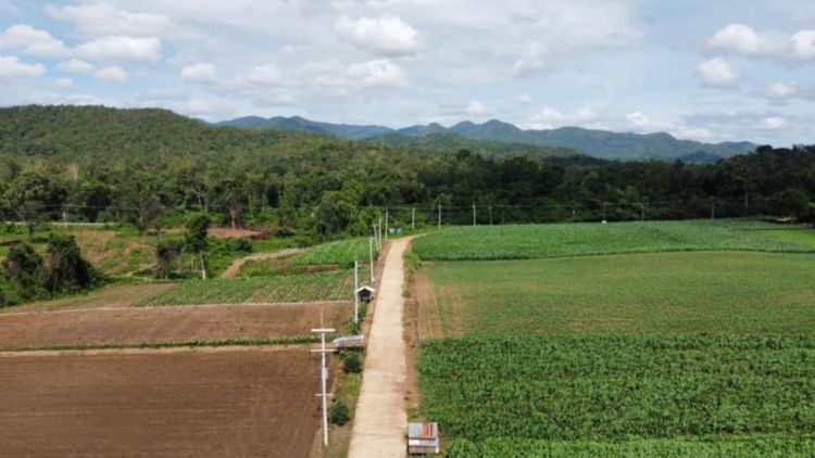 ใช่ ขายที่ดินโฉนดครุฑแดง เหนือเขื่อนศรีนครินทร์ อ.ศรีสวัสดิ์ จ.กาญจนบุรี รูปที่ 2