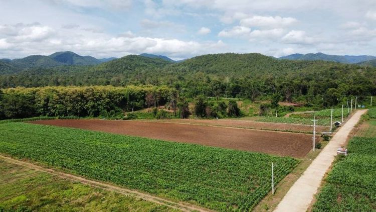 ใช่ ขายที่ดินโฉนดครุฑแดง เหนือเขื่อนศรีนครินทร์ อ.ศรีสวัสดิ์ จ.กาญจนบุรี รูปที่ 4