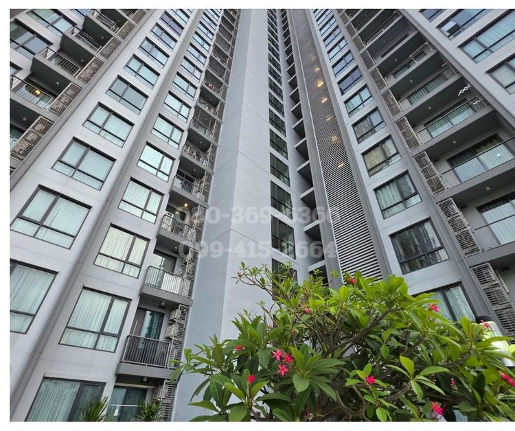 ให้เช่าคอนโดสุขุมวิท Q House สุขุมวิท79 bts อ่อนนุช200ม.