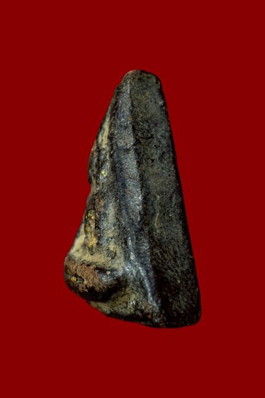 พระนางพญากรุโรงทอ รูปที่ 3