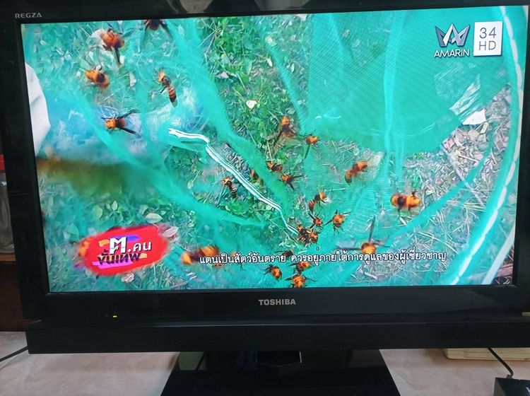 ทีวี lcd TOSHIBA 32" ทำจอคอมก็ได้ ต่อกล่องทีวีดิจิตอลภาพสวยเสียงดีรีโมทครบ เพียง 999 บาท รูปที่ 7