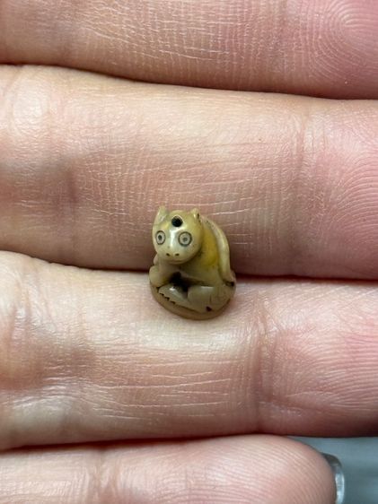 พระบ้าน รูปที่ 6