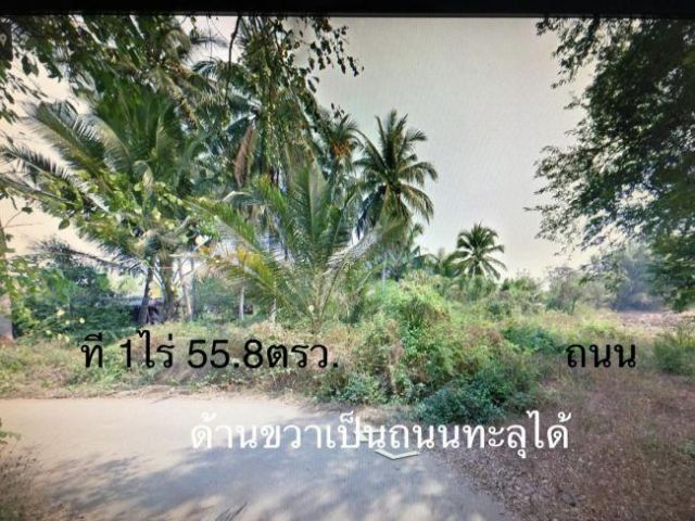 ขายที่1ไร่ 56ตรว.ต.นางแก้ว อ.โพธาราม จ.ราชบุรี ห่างถนนหลวง100เมตร

 รูปที่ 2