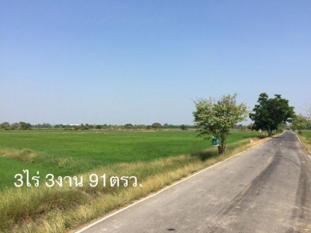 ขายที่สวยๆ 3ไร่ 3 งาน 91ตรว. ต.นางแก้ว อ.โพธาราม จ.ราชบุรี ราคาไม่แพง

 รูปที่ 3