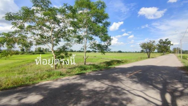 ขายที่สวยๆ 3ไร่ 3 งาน 91ตรว. ต.นางแก้ว อ.โพธาราม จ.ราชบุรี ราคาไม่แพง

