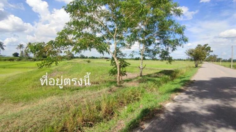 ขายที่สวยๆ 3ไร่ 3 งาน 91ตรว. ต.นางแก้ว อ.โพธาราม จ.ราชบุรี ราคาไม่แพง

 รูปที่ 2