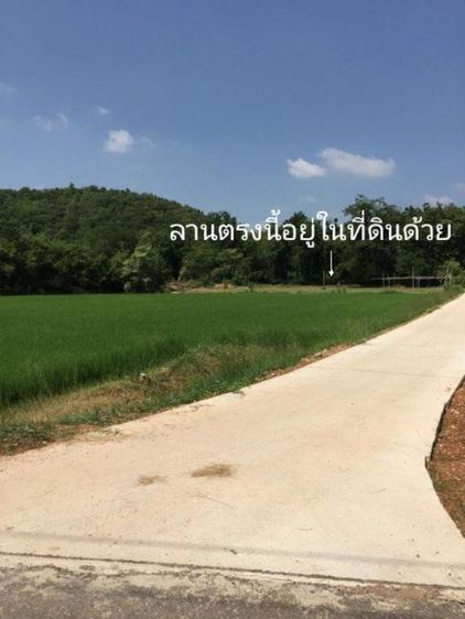 ขายที่สวย 7 ไร่ 32วา ใกล้เขาวัดหนองหอย สนามกอลฟ์รอยัล อ.โพธาราม จ.ราชบุรี

 รูปที่ 3