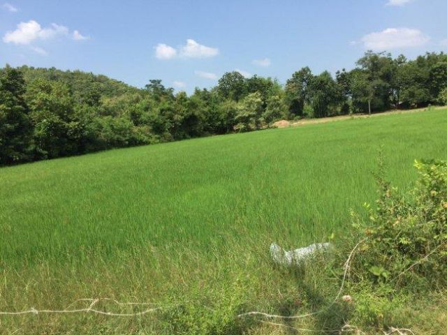 ขายที่สวย 7 ไร่ 32วา ใกล้เขาวัดหนองหอย สนามกอลฟ์รอยัล อ.โพธาราม จ.ราชบุรี

 รูปที่ 4