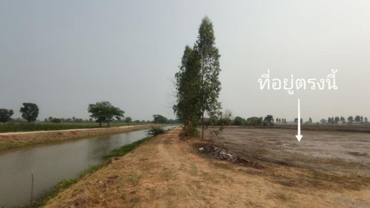 ที่ติดคลอง บางสองร้อย อ.โพธาราม ต.เตาปูน จ.ราชบุรี ขาย ไร่ล่ะ 5แสน มี2 แปลง 10ไร่ กับ 8ไร่

