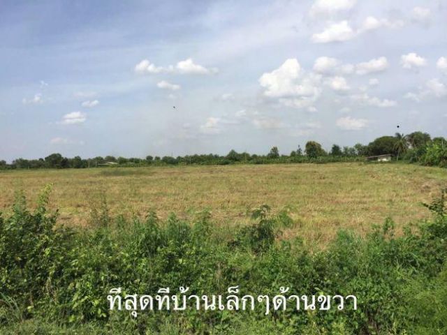 ขายที่ 36 ไร่ 1งาน 20ตรว. ต.เขาขลุง อ.บ้านโป่ง จ.ราชบุรี ที่อยู่เส้นบ่อเจ๊ก-สระสี่มุม ที่สวยเป็นสี่เหลี่ยม ติดถนนซอยหน้ากว้าง
รูปที่ 2