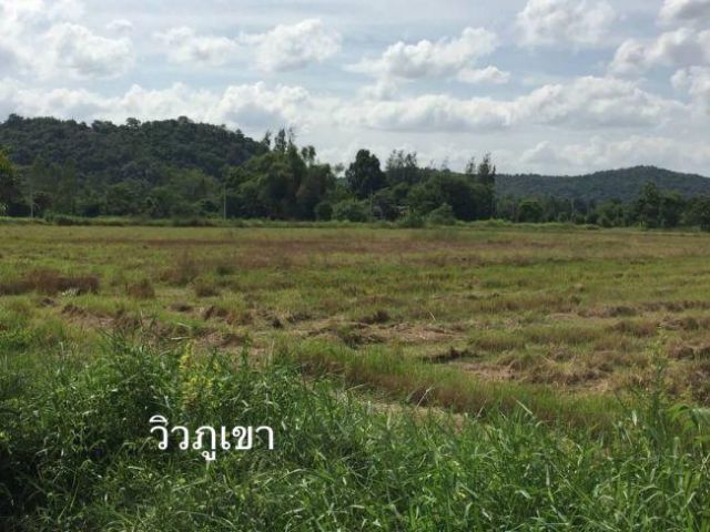 ขายที่ 36 ไร่ 1งาน 20ตรว. ต.เขาขลุง อ.บ้านโป่ง จ.ราชบุรี ที่อยู่เส้นบ่อเจ๊ก-สระสี่มุม ที่สวยเป็นสี่เหลี่ยม ติดถนนซอยหน้ากว้าง
รูปที่ 3