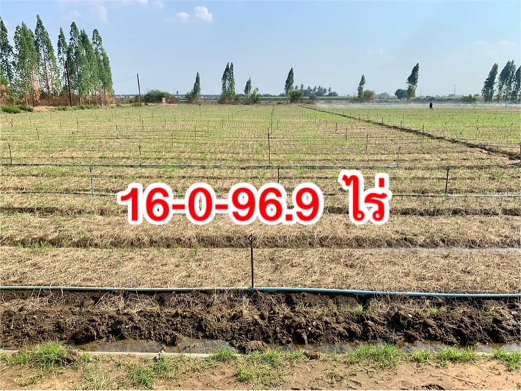 ขายที่ดิน16ไร่ ต.วังศาลา อ.ท่าม่วง แปลงสวย ทำเลดี แหล่งชุมชน ใกล้กรุงเทพ เดินทางสะดวก รูปที่ 2