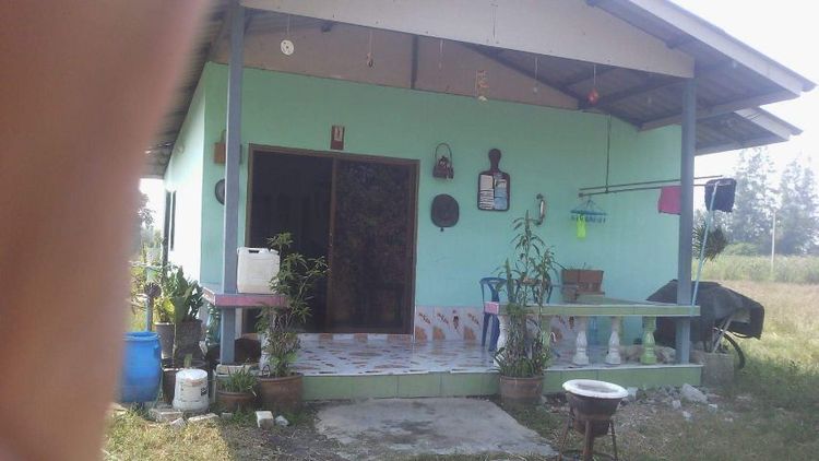 ขายบ้านพร้อมที่ดิน102ตรว2ห้องนอน2ห้องน้ำ1ห้องโถง1ห้องห้อง รูปที่ 3