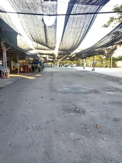 ขายที่ดินแปลงใหญ่ ใกล้ตลาดคลองลัดมะยม  เหมาะพัฒนาโครงการและเชิงพาณิชย์ รูปที่ 3