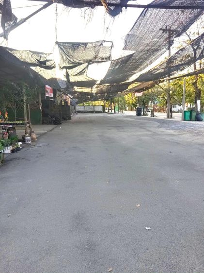ขายที่ดินแปลงใหญ่ ใกล้ตลาดคลองลัดมะยม  เหมาะพัฒนาโครงการและเชิงพาณิชย์ รูปที่ 4