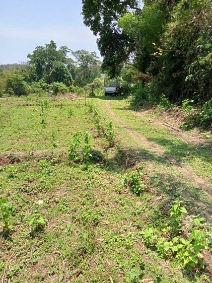 ไม่ใช่ ขายที่ดิน รูปที่ 3