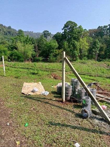 ไม่ใช่ ขายที่ดิน รูปที่ 2