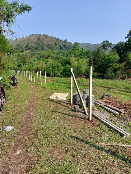 ขายที่ดิน