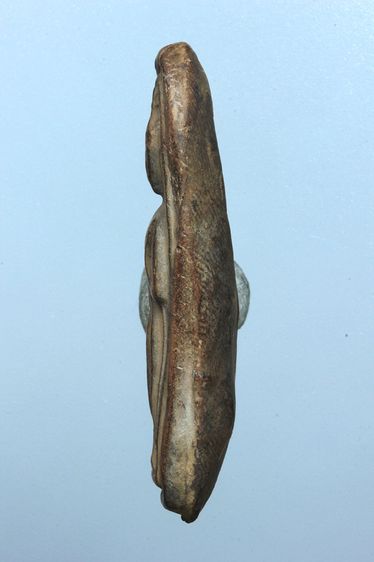 พระกรุลีลาเม็ดขนุนสวยๆค่ะเก่าค่ะ รูปที่ 4