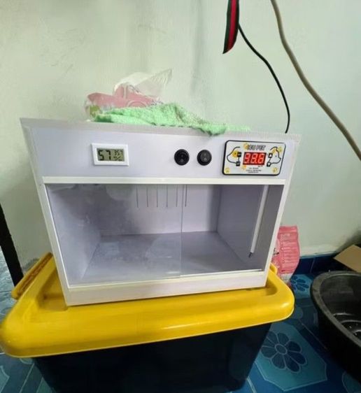 ตู้กกลูกนก ตู้ฟักไข่