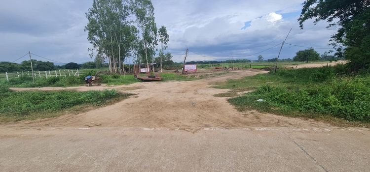 ที่ดิน รูปที่ 4