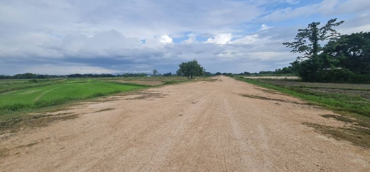 ที่ดิน รูปที่ 3