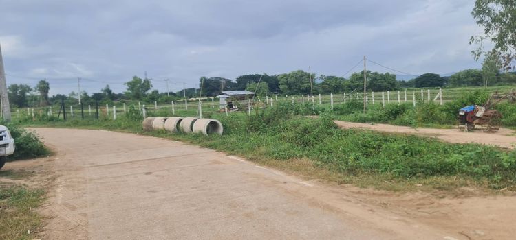 ที่ดิน รูปที่ 2