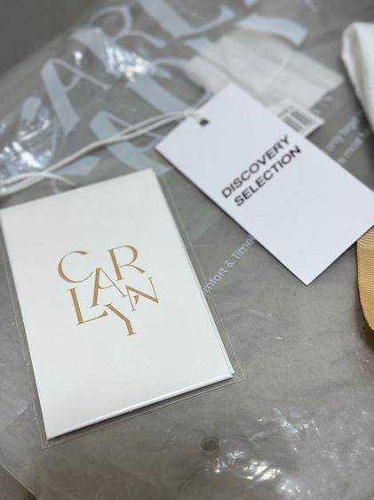 กระเป๋า carlyn twee mini รูปที่ 7