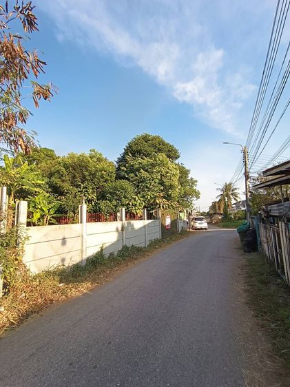 ที่ดินหนองจอก 100 ตร.ว. ราคาถูก 