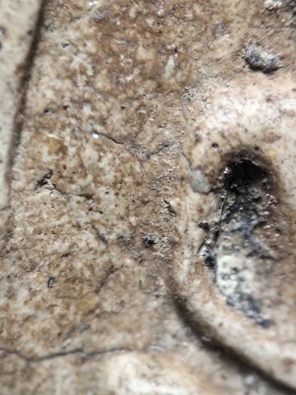 พระสมเด็จเนื้อหนึบนุ่มครับ รูปที่ 10